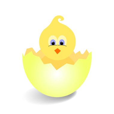 Yeni doğan Paskalya tavuk ve kırık yumurta