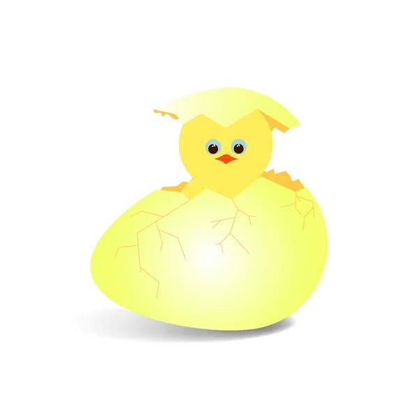 Pasgeboren Pasen kip en gebarsten eieren — Stockvector