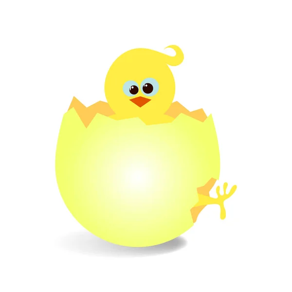 Yeni doğan Paskalya tavuk ve kırık yumurta — Stok Vektör
