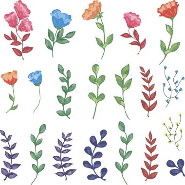 Vektör çiçek öğe kümesi: çiçekler, SAP, dalları, tomurcukları
