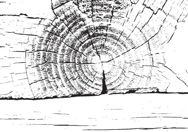 Textura de madera. Fibra y grieta — Archivo Imágenes Vectoriales
