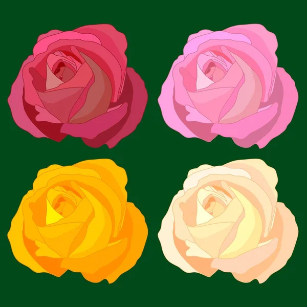Lindo ramo de flores de rosas. Ilustración vectorial — Vector de stock