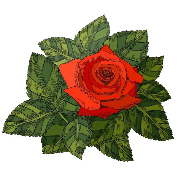 Carino Bouquet Fiori Rose Set Fiori Rose Rami Piante Fiore — Vettoriale Stock