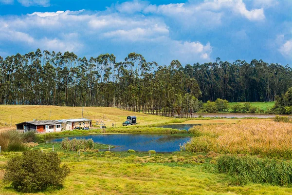 Nazik humilde en una casa pequea con un lago y paisaje verde con arboles y cuelo azul