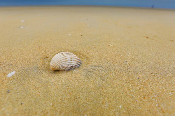 Strand Vagy Strandról Víz Homok Dűnék Camber Homok — Stock Fotó