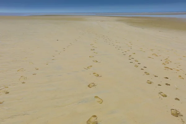 Pláž Nebo Pláži Voda Písek Duny Camber Písky — Stock fotografie