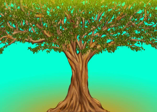 Riesiger afrikanischer Baum — Stockfoto