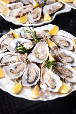 Limonlu istiridye ve buz izole edilmiş beyaz bir tabakta.