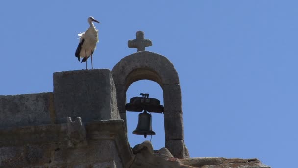 Church bell and stork — Stock Video