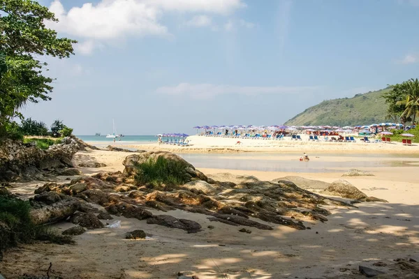 Phuket hayatta