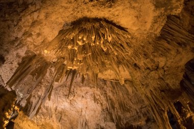 Sardinya Nettuno mağarada