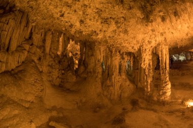 Sardinya Nettuno mağarada