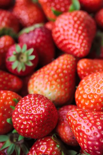 Fresh organic strawberries