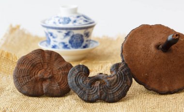 Nadir Çin geleneksel tıp ganoderma Lucidium özellikleri