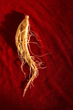 Çin şifalı otlar, ginseng