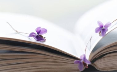 Menekşe ve açık kitap, arka plan sanat