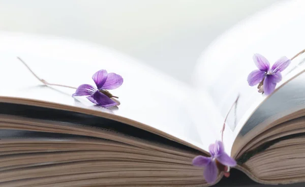 Violet and open book ,art background