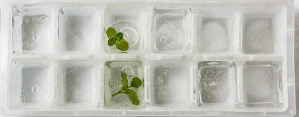 ice-making box