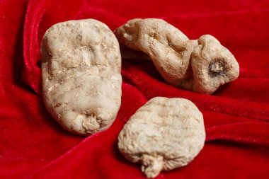 Geleneksel Çin tıbbı Gastrodia elata
