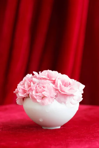Carnation boeket, Moederdag dag bloem — Stockfoto