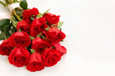 Beyaz arka planda kırmızı gül