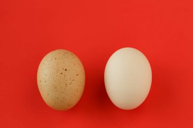 Sarı kahverengi leke ve kırmızı temiz beyaz yumurta bir yumurta