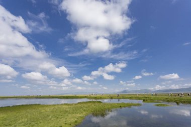 Plato göller, mavi gökyüzü, beyaz bulutlar ve sulak alanlar