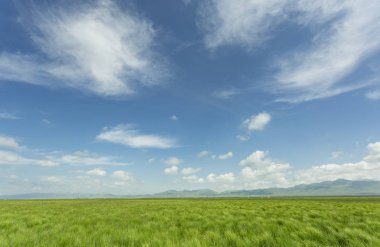 Plato göller, mavi gökyüzü, beyaz bulutlar ve sulak alanlar