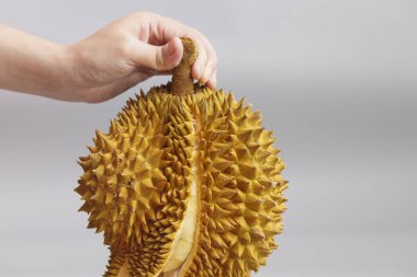 Bir Durian'ın yakın çekim