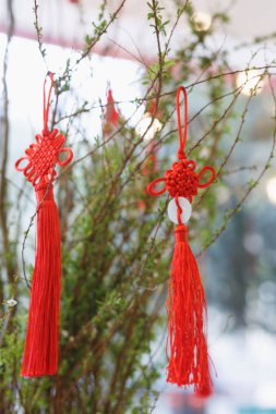 Kapalı çiçek aranjmanı