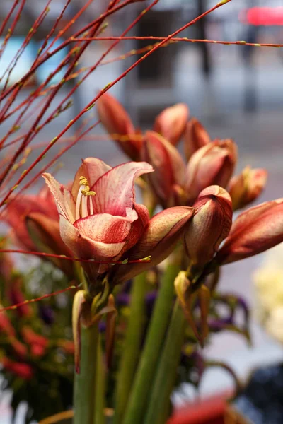 Blumenschmuck im Innenraum — Stockfoto