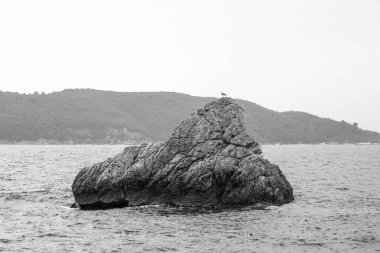 Karadağ, erken sonbahar, Adriyatik Denizi deniz ve ada kaplumbağa, bir kayanın üzerinde martı karşı yalnız bir kaya