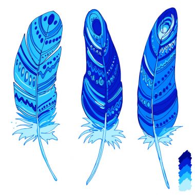 Süs tüyleri kümesi.