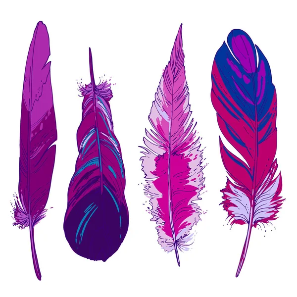 Conjunto de plumas ornamentales . — Archivo Imágenes Vectoriales