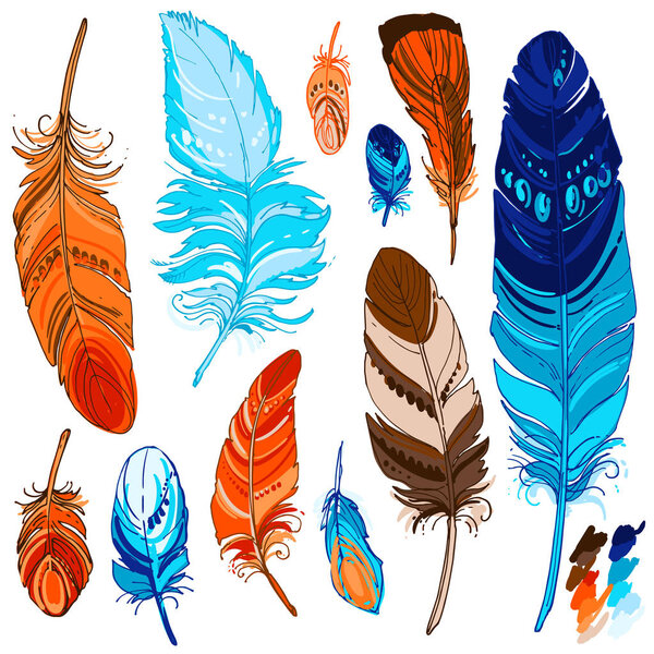 Set of ornamental feathers.