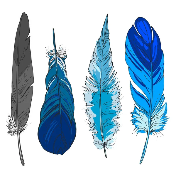 Conjunto de plumas ornamentales . — Vector de stock