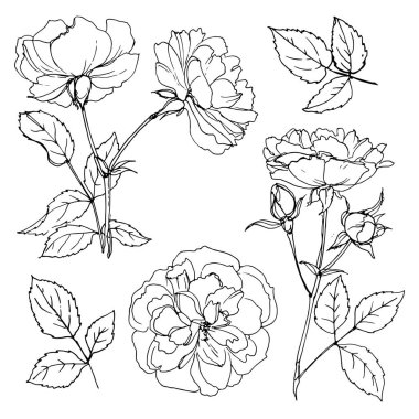 Güzel çizilmiş çiçekler