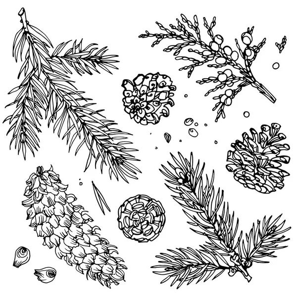 Ensemble d'objets forestiers — Image vectorielle