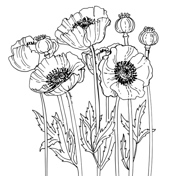 Wunderschöne handgezeichnete Blumen — Stockvektor