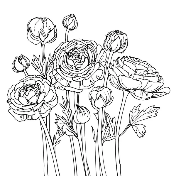 Красиві квіти Мальована — стоковий вектор
