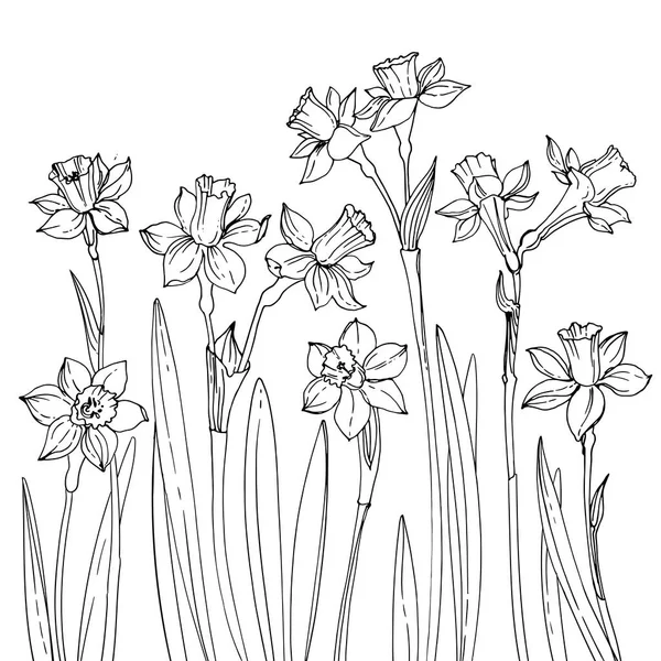 Hermosas flores dibujadas a mano — Vector de stock