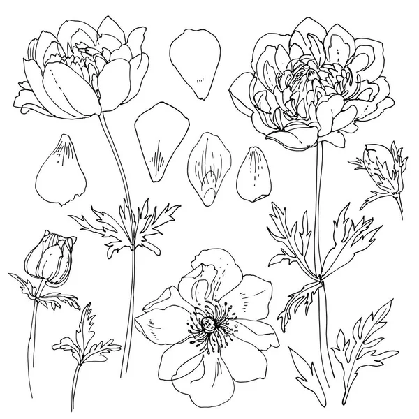 Mooie handgetekende bloemen — Stockvector