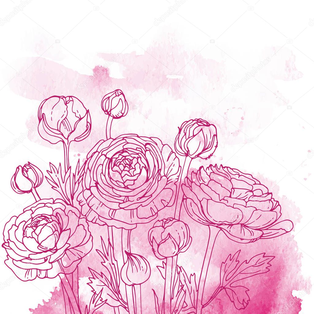 beautiful hand-drawn flowers