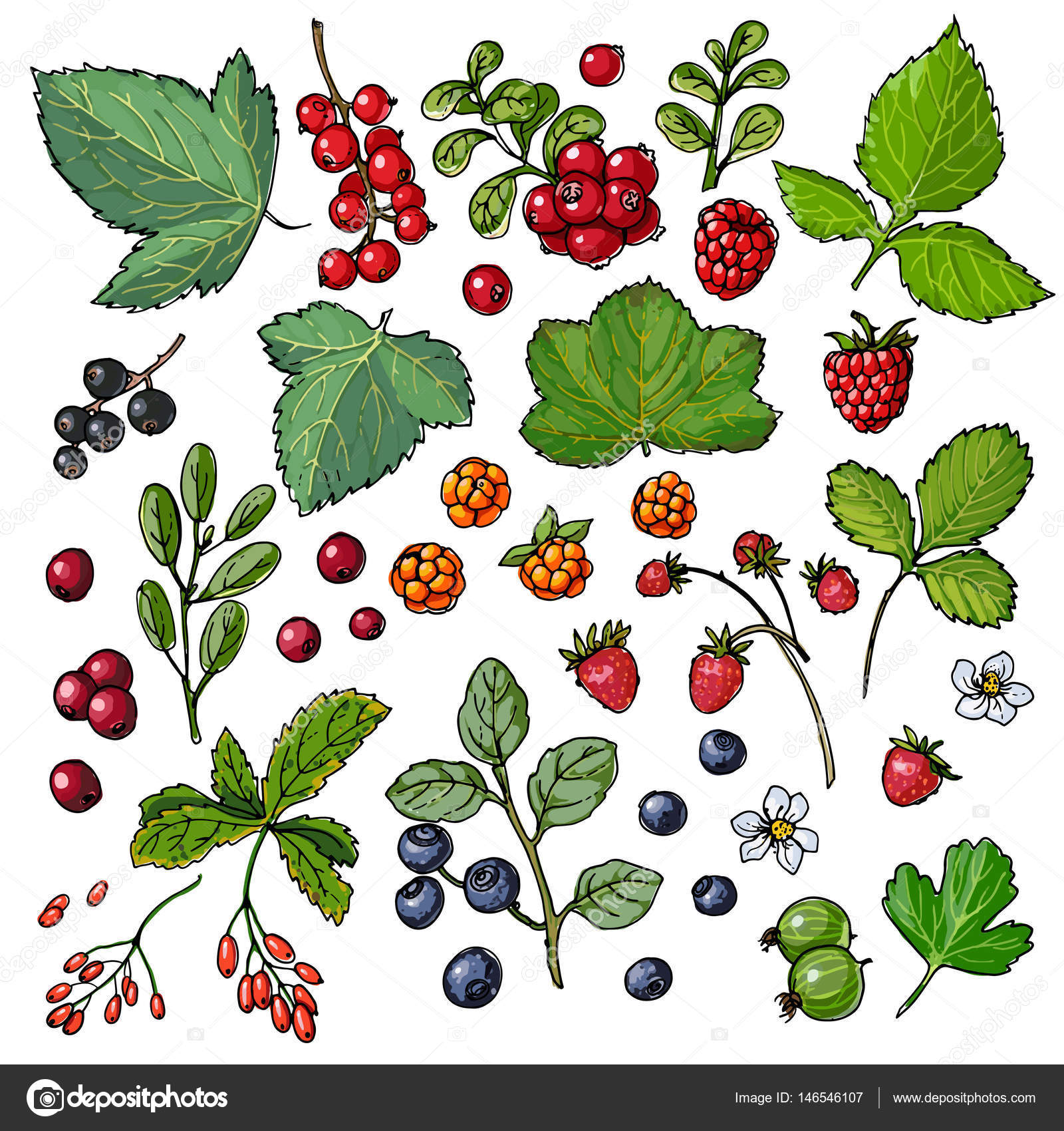 Frutti di bosco disegnato a mano insieme illustrazione — Vettoriali di vaneevaisail