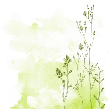 hand-drawn linear wildflowers clipart
