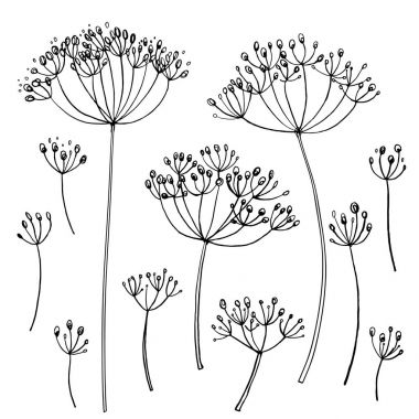 dereotu çizilmiş dalları ayarla