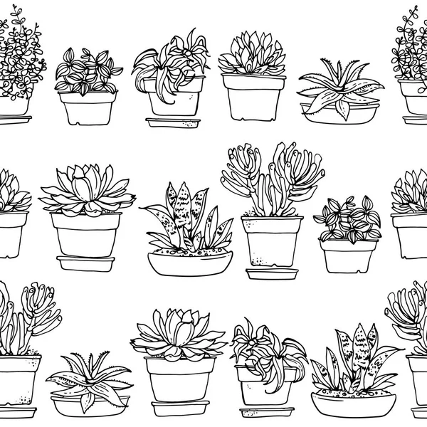 Succulents in flower pots — Stock Vector