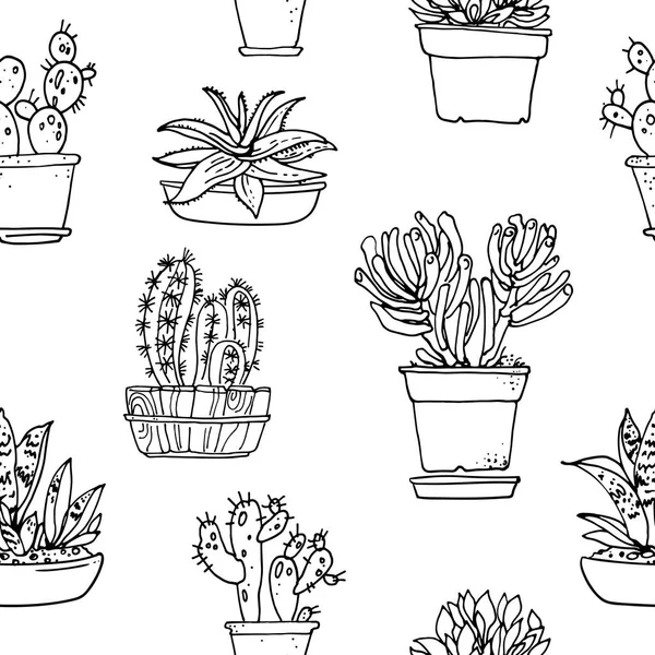 Succulents dans des pots de fleurs — Image vectorielle