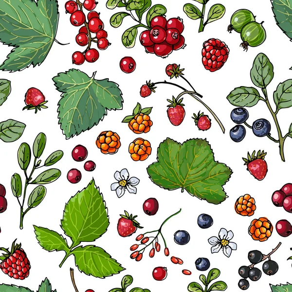 Hand-drawn berries seamless pattern — Stock Vector