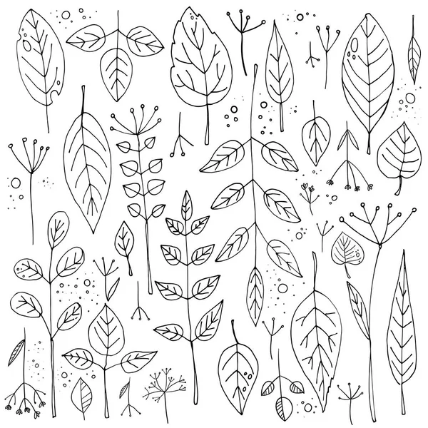 Conjunto de ramas y hojas dibujadas a mano — Vector de stock